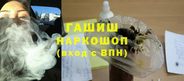 стаф Губаха