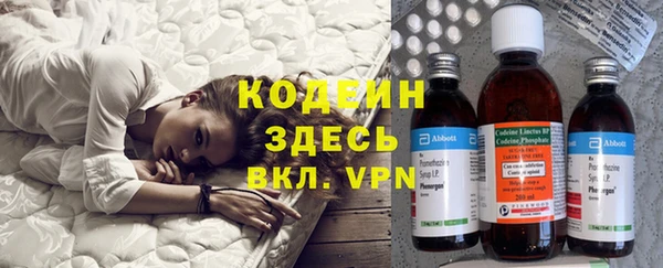 стаф Губаха