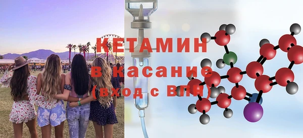 стаф Губаха