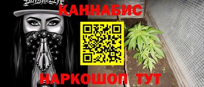 шишки Гусиноозёрск
