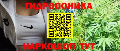 молекула духа Гусев