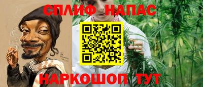 шишки Гусиноозёрск