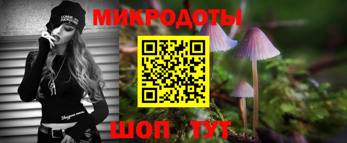 Галлюциногенные грибы Psilocybe Конаково